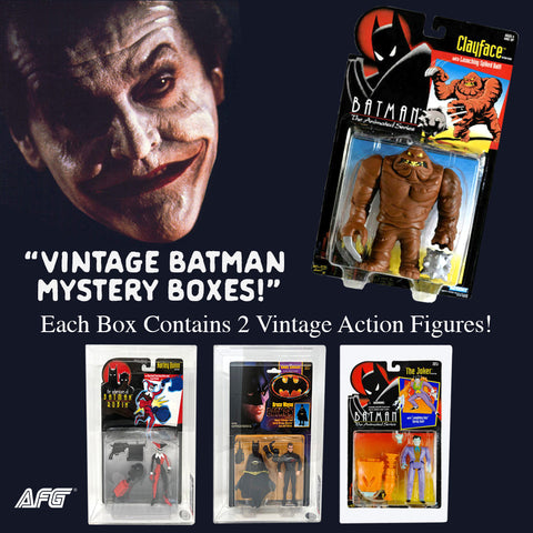Batman Mystery Box (2 Vintage Action Figures)